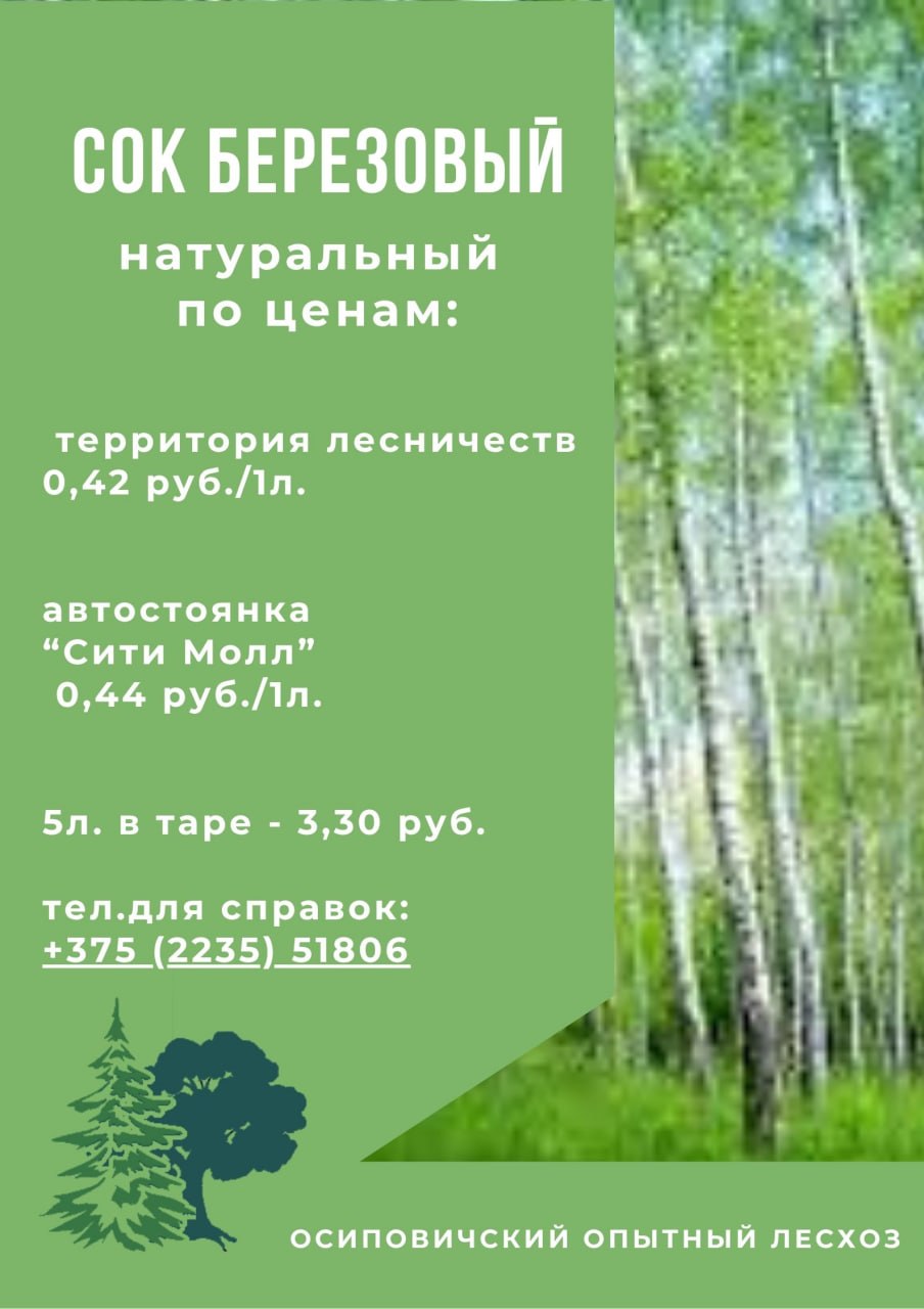 Осиповичский опытный лесхоз реализует сок березовый натуральный.