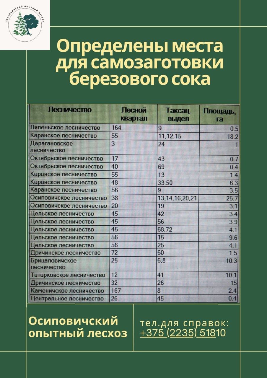 Информация населению для самозаготовки березового сока!