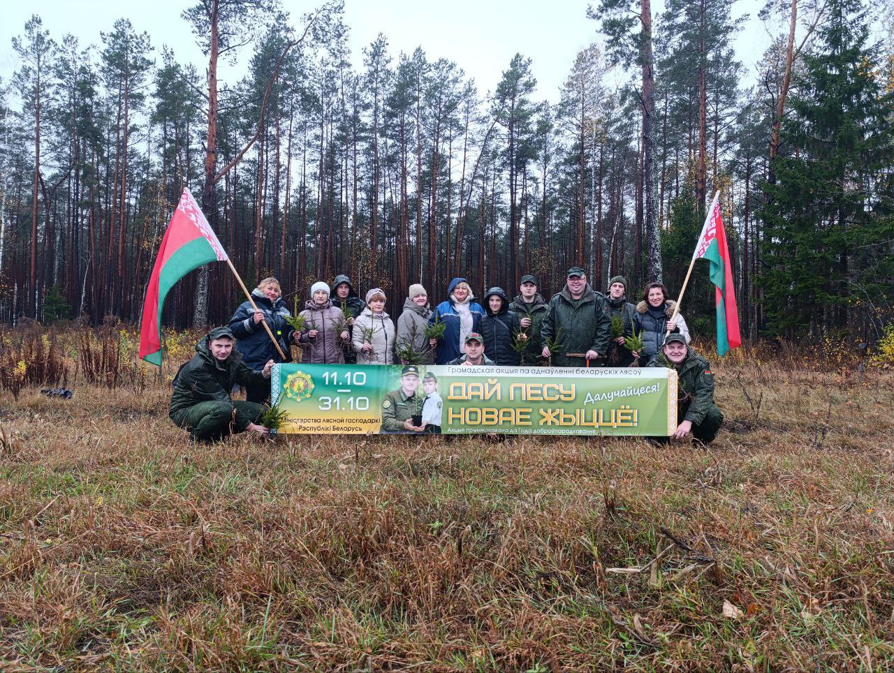 619 БХРМУСС поддержали акцию  Дай лесу новае жыццё