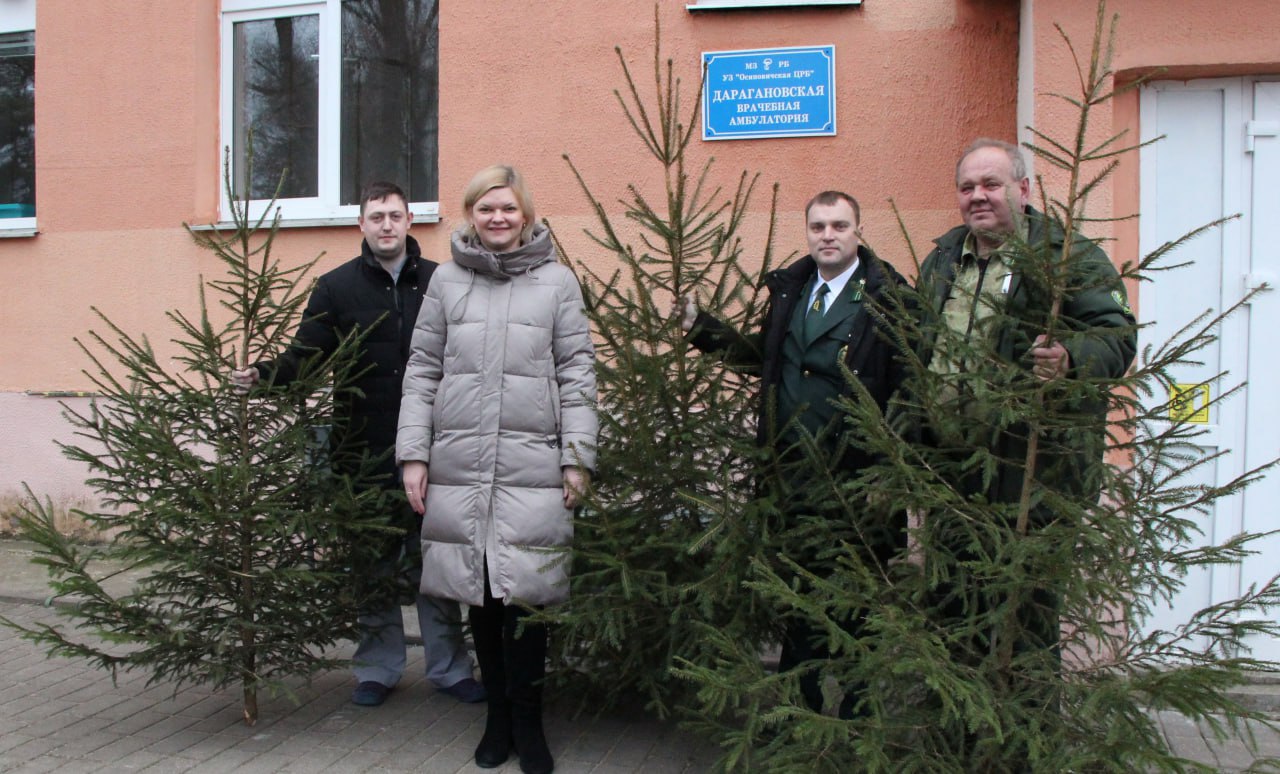 Новогодние ели для больницы