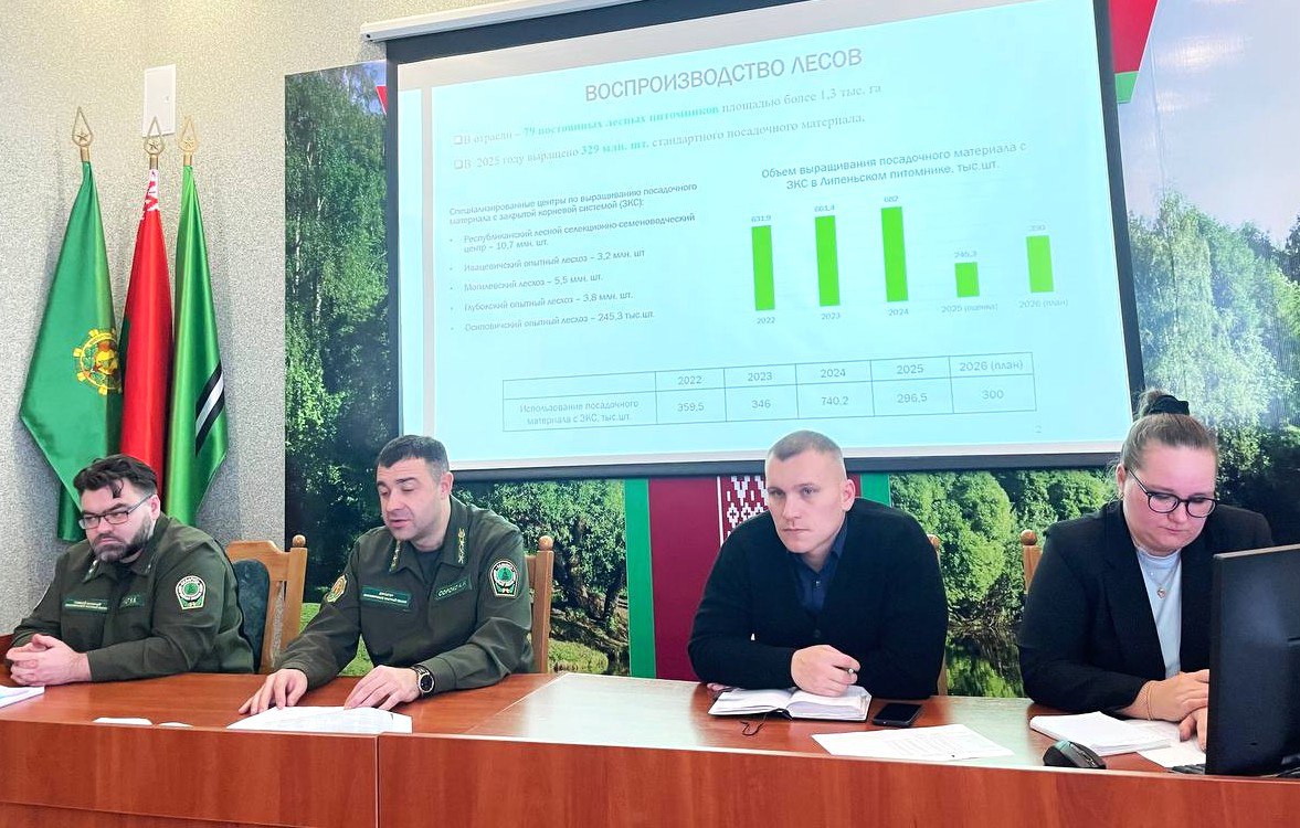 В новый год с новыми планами