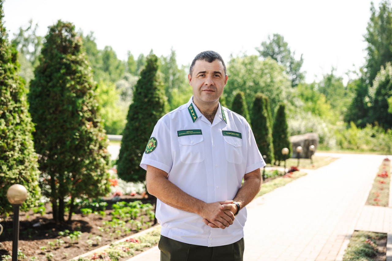 Поздравление с Днем работников леса!