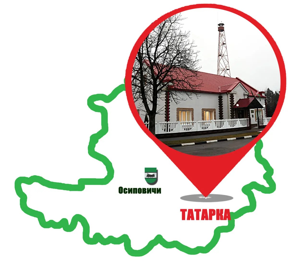 Экология или экономика? Как Татарковское лесничество находит баланс, работая на будущее леса