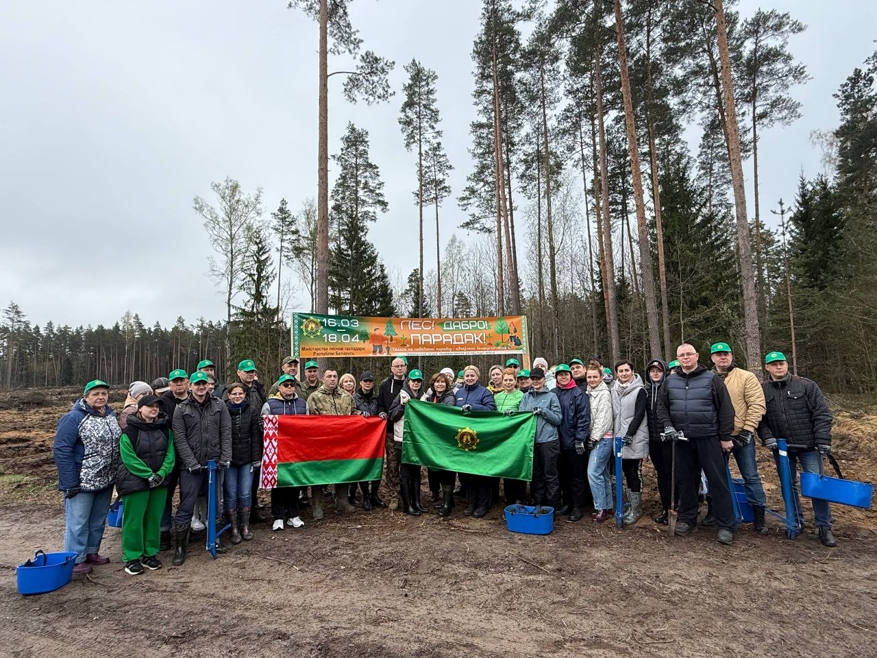 Лес как центр притяжения